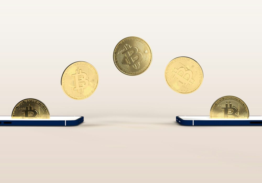 What are the 4 types of digital money