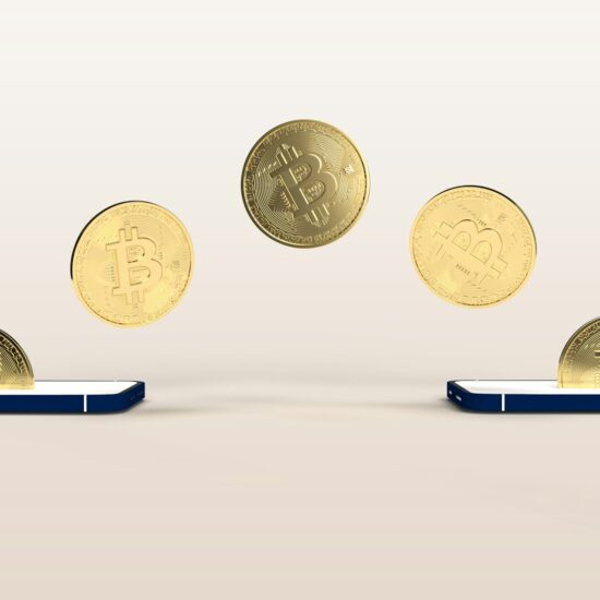 What are the 4 types of digital money