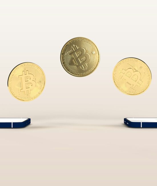 What are the 4 types of digital money