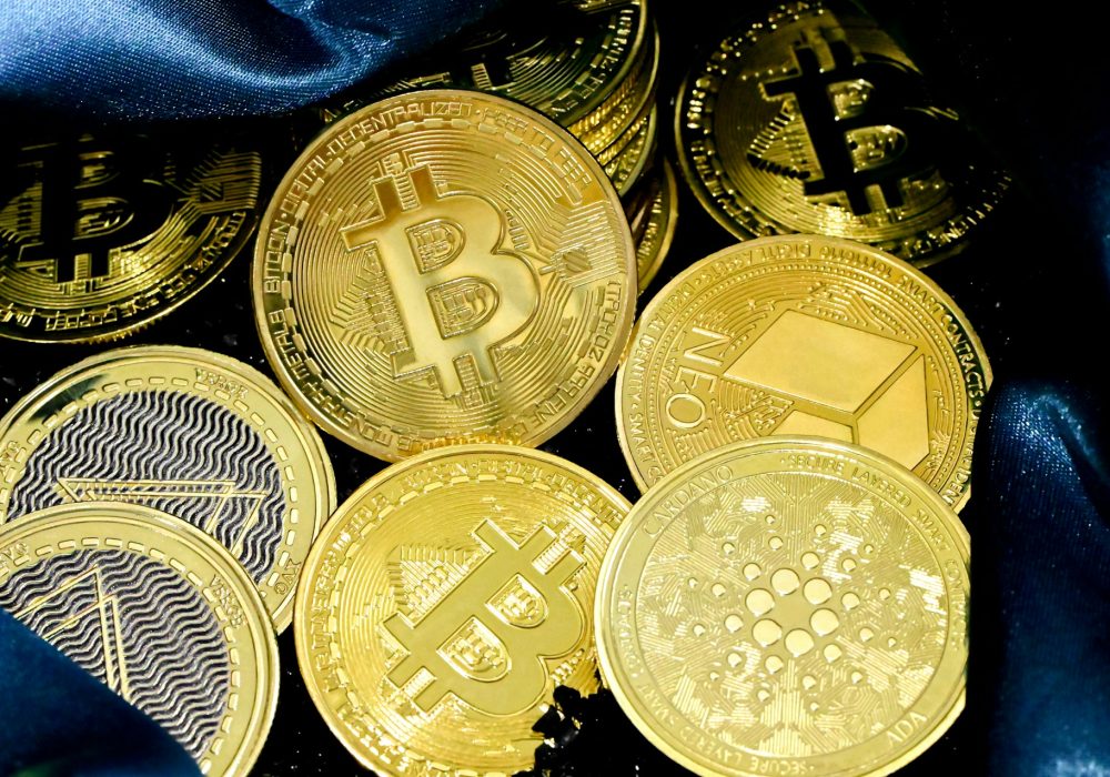 What are the 4 types of digital currency